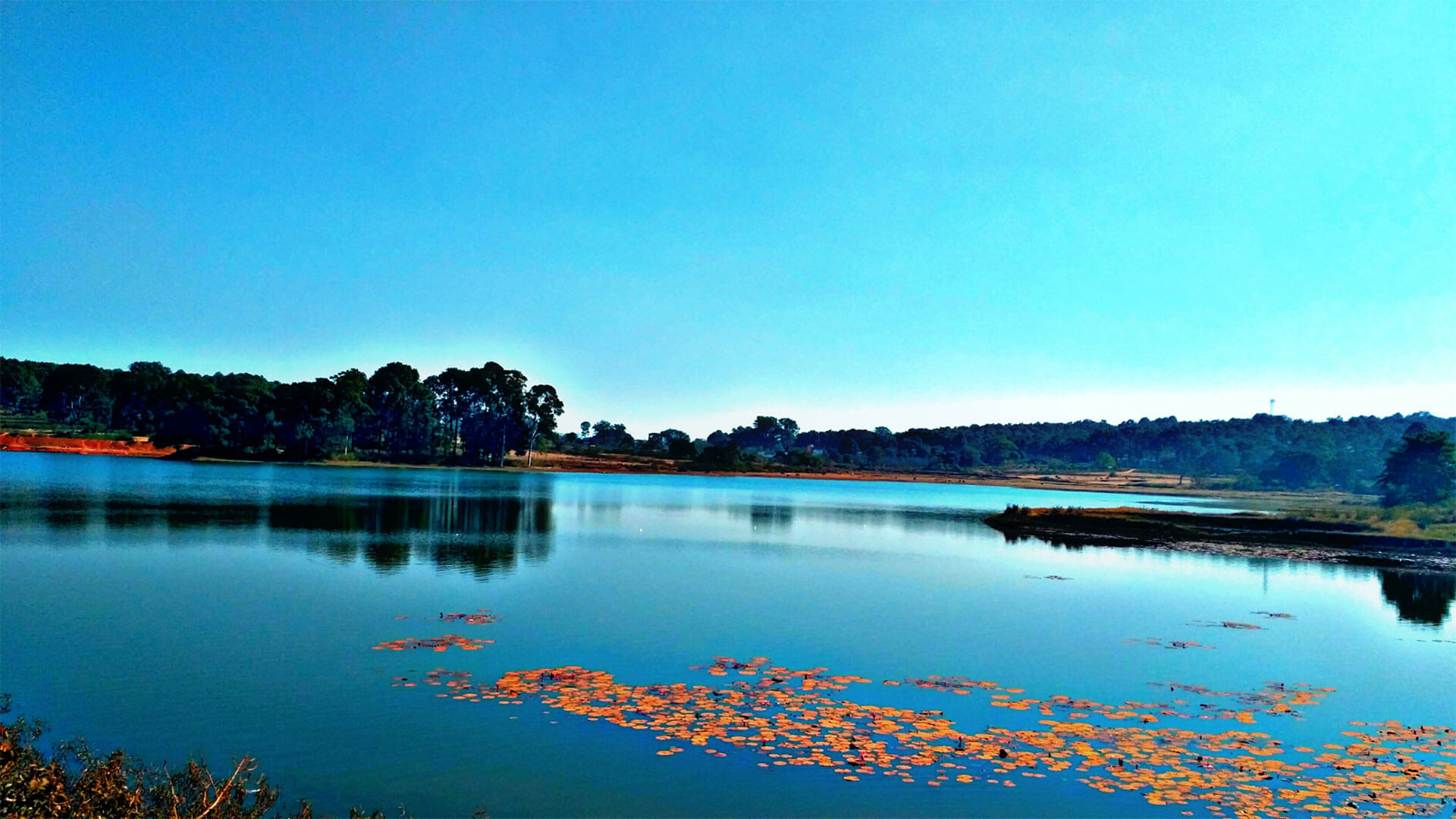 Netarhat Lake